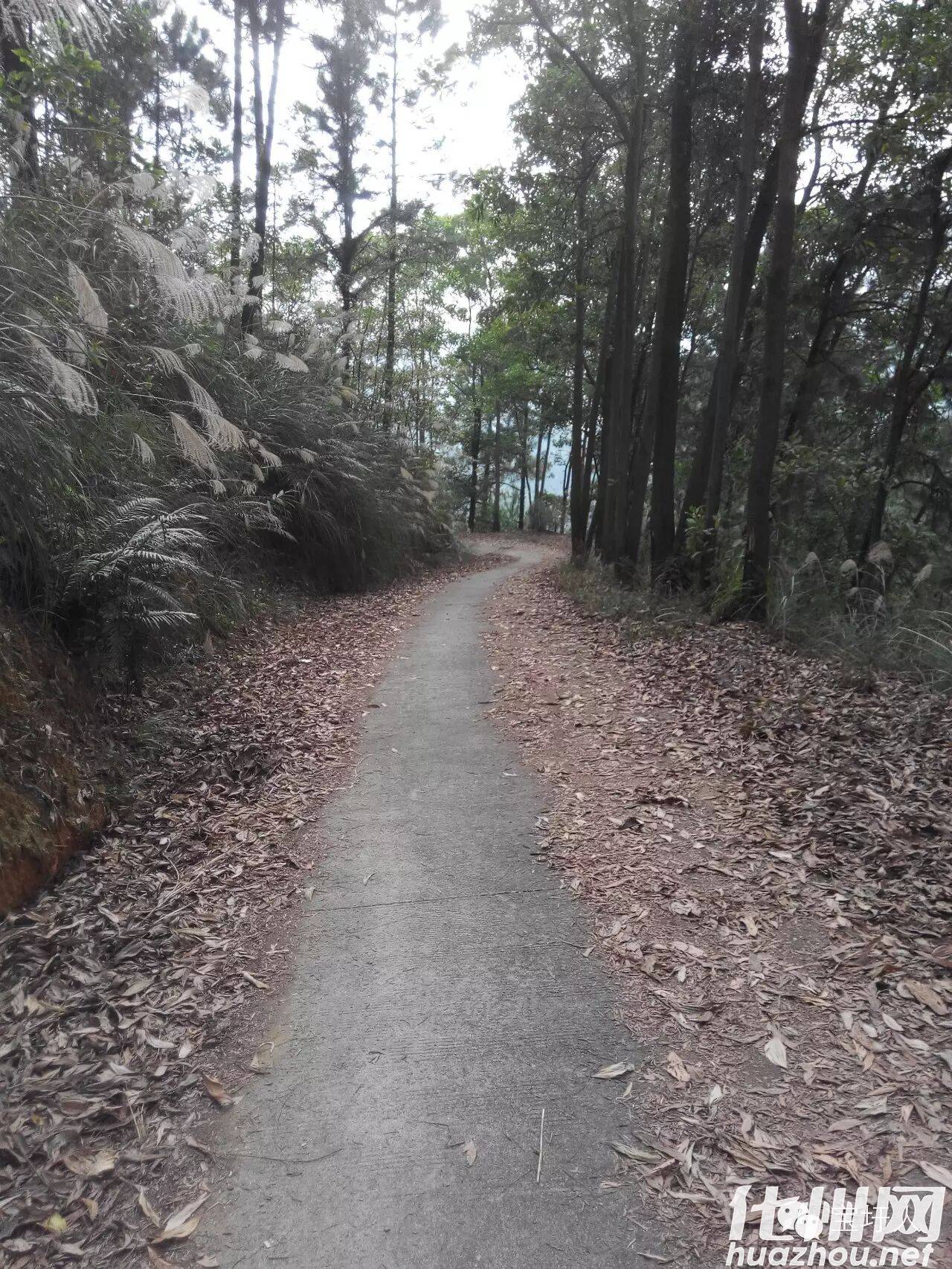化州宝圩镇宝岭 -1