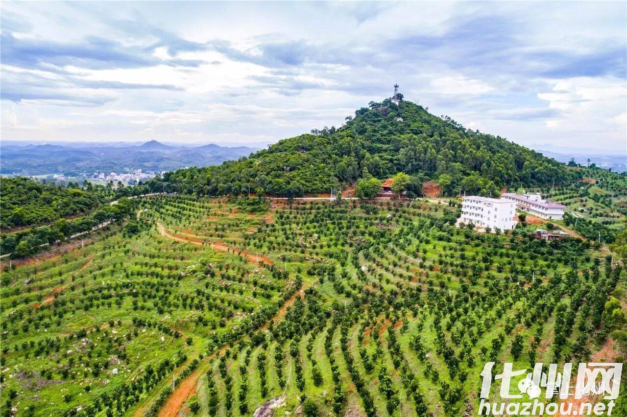 化州市丽岗镇尖岗岭 -3 化州市丽岗镇尖岗岭 -3