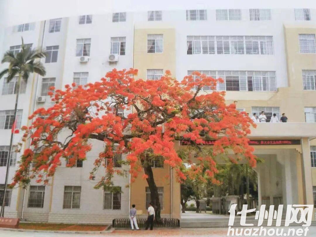 化州市那务镇那务中学 -10 化州市那务镇那务中学 -10