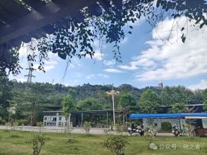 化州市石龙山森林公园 图片